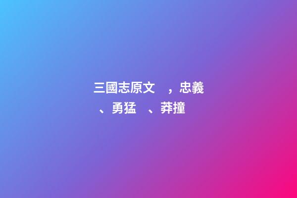 三國志原文，忠義、勇猛、莽撞-第1張-觀點-玄機派